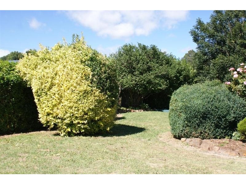 53 East Barrack Street, Deloraine TAS 7304