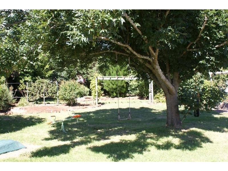 53 East Barrack Street, Deloraine TAS 7304