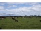 295 Hoggs Lane, Hagley TAS 7292