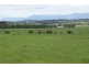 295 Hoggs Lane, Hagley TAS 7292