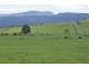 295 Hoggs Lane, Hagley TAS 7292