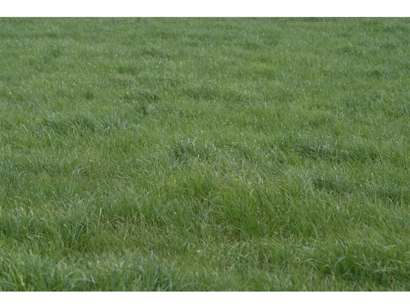 295 Hoggs Lane, Hagley TAS 7292