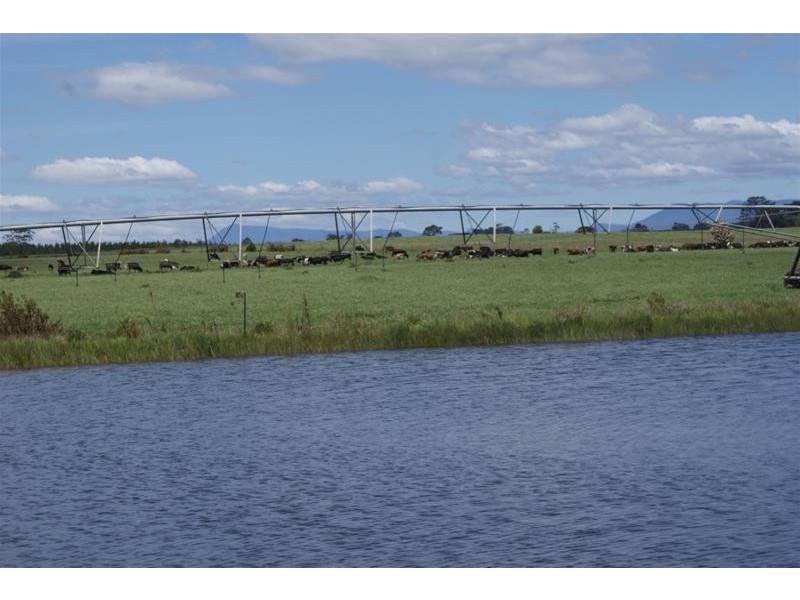 295 Hoggs Lane, Hagley TAS 7292