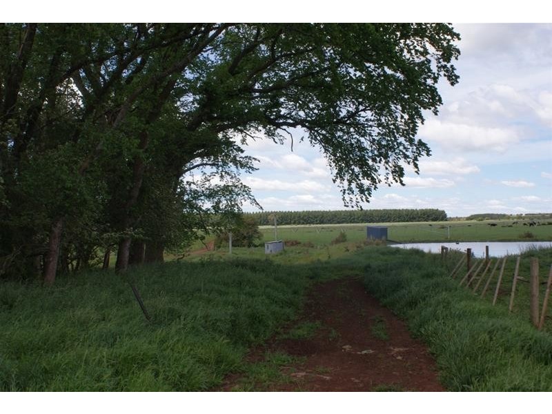 295 Hoggs Lane, Hagley TAS 7292