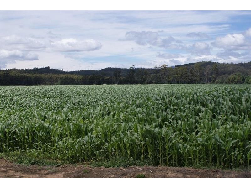 12437 Highland Lakes Road, Deloraine TAS 7304