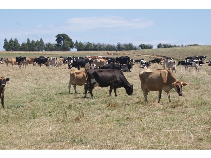 132 West Kentish Road, Sheffield TAS 7306