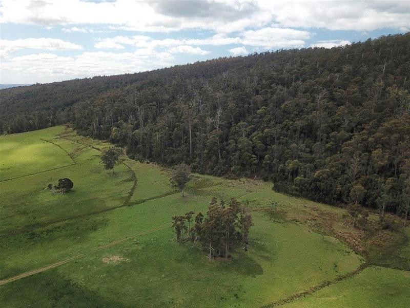 983 Bogan Road, Quamby Brook TAS 7304