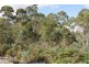 Lot 2  English Town Road, Evandale TAS 7212