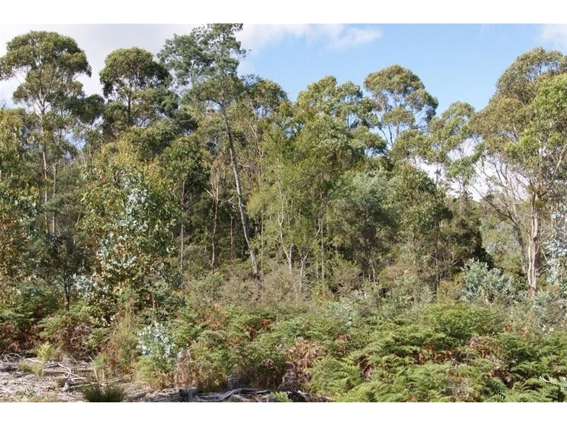 Lot 2  English Town Road, Evandale TAS 7212