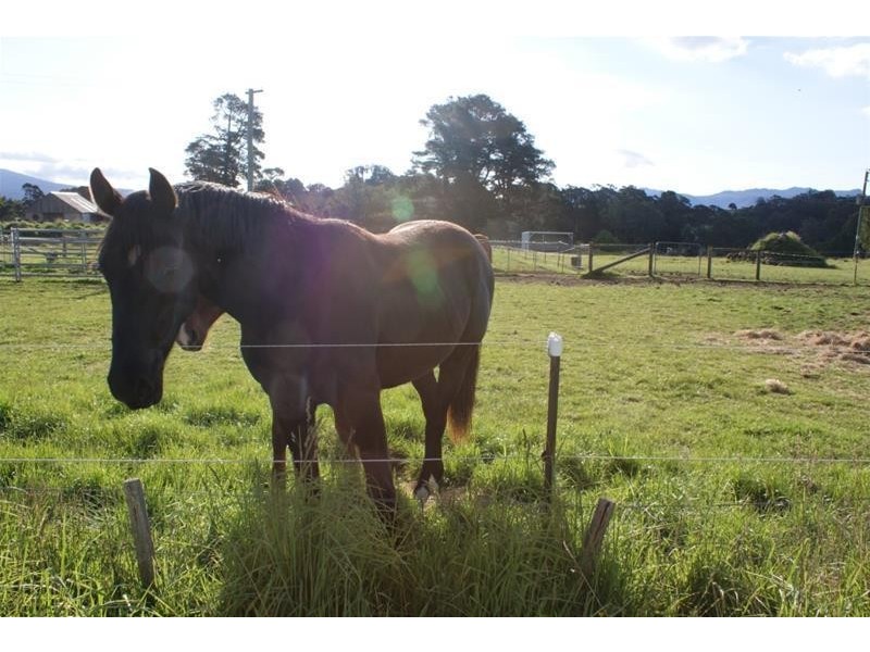 529 Mersey Hill Road, Mole Creek TAS 7304