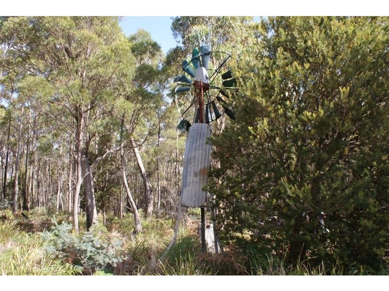 130 Farrells Road, Reedy Marsh TAS 7304