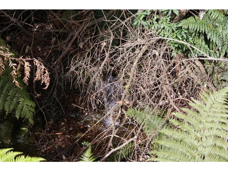 0 Highland Lakes Road, Golden Valley TAS 7304