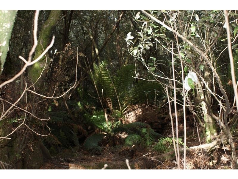 0 Highland Lakes Road, Golden Valley TAS 7304