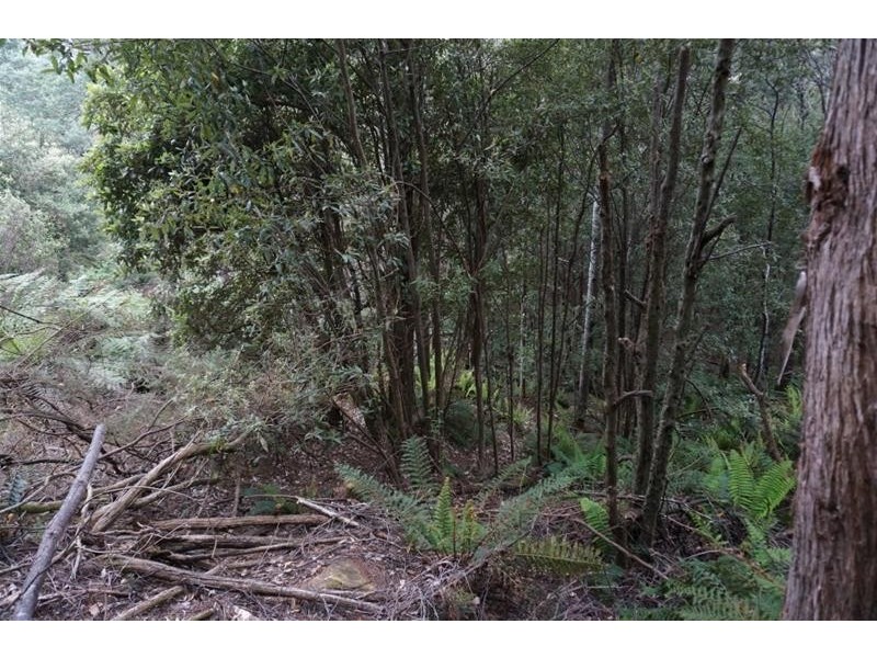 Lot 1B Blairs Road, Mole Creek TAS 7304