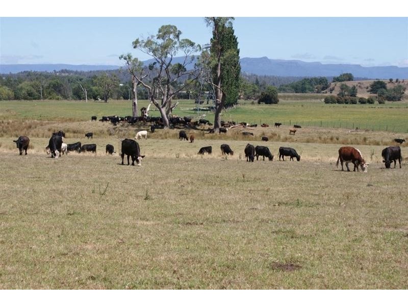 173 River Road, Deloraine TAS 7304