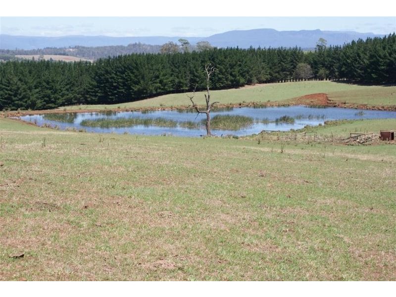 173 River Road, Deloraine TAS 7304