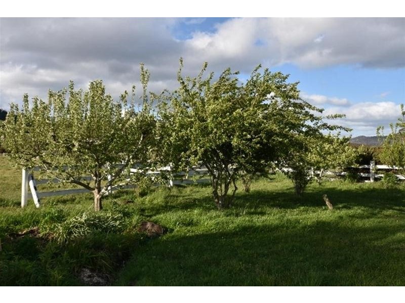 Lot 1 Burnett Street, Chudleigh TAS 7304