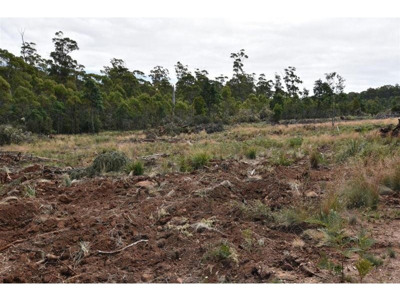 Lot 1 Quamby Brook Road, Quamby Brook TAS 7304