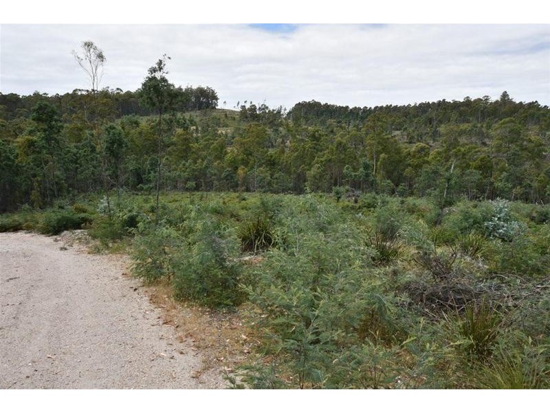 Lot 1 Quamby Brook Road, Quamby Brook TAS 7304