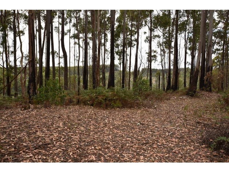 Lot 1 Quamby Brook Road, Quamby Brook TAS 7304