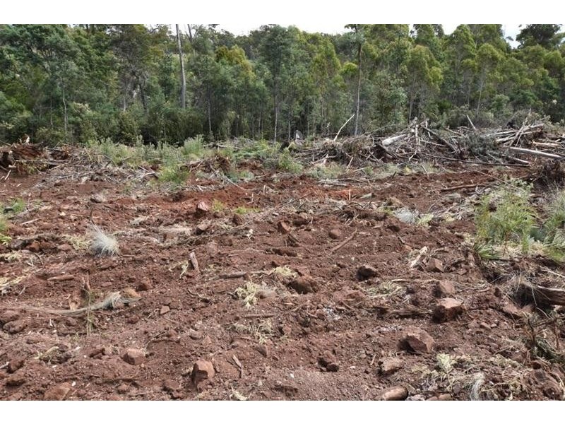 Lot 1 Quamby Brook Road, Quamby Brook TAS 7304