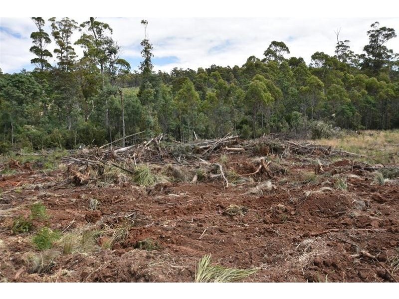 Lot 1 Quamby Brook Road, Quamby Brook TAS 7304