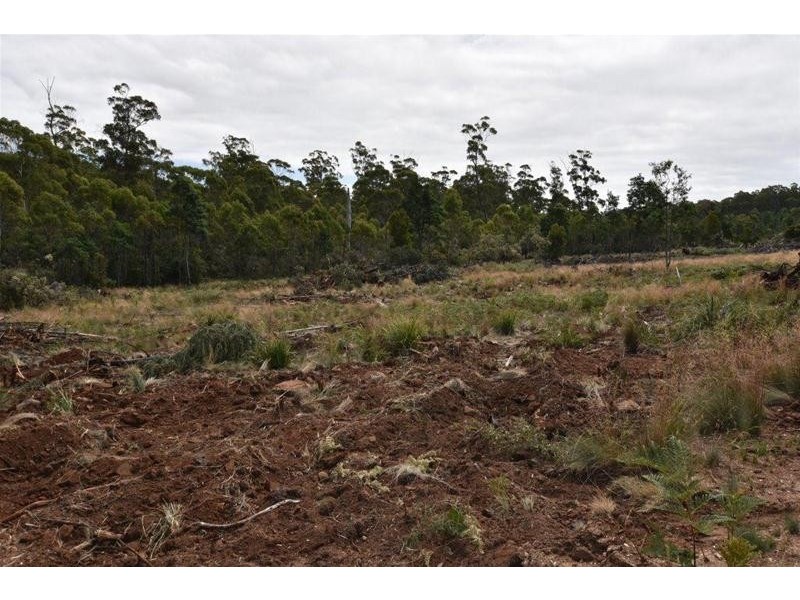 Lot 1 Quamby Brook Road, Quamby Brook TAS 7304