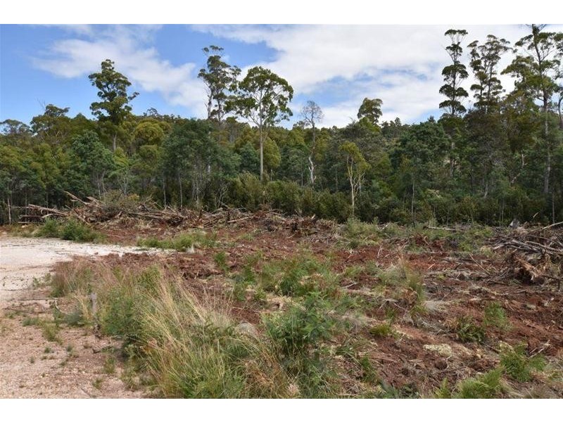 Lot 1 Quamby Brook Road, Quamby Brook TAS 7304