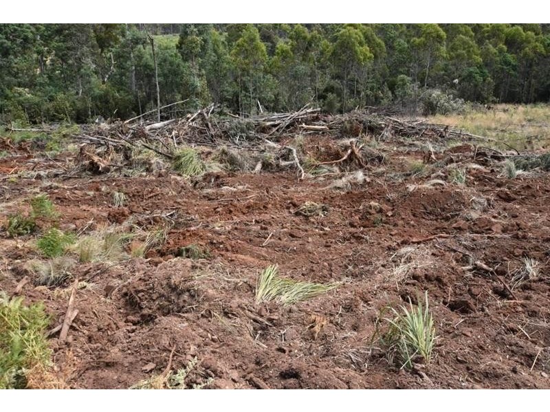 Lot 1 Quamby Brook Road, Quamby Brook TAS 7304