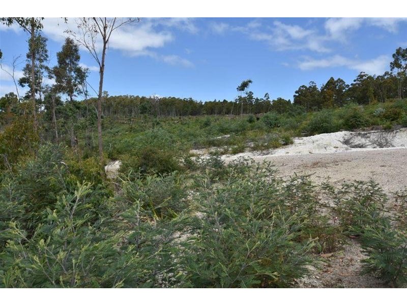 Lot 1 Quamby Brook Road, Quamby Brook TAS 7304
