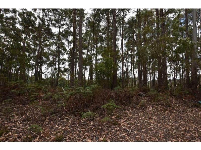 Lot 1 Quamby Brook Road, Quamby Brook TAS 7304