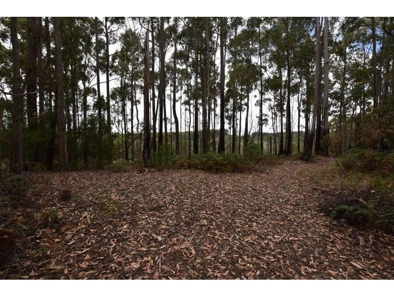 Lot 1 Quamby Brook Road, Quamby Brook TAS 7304