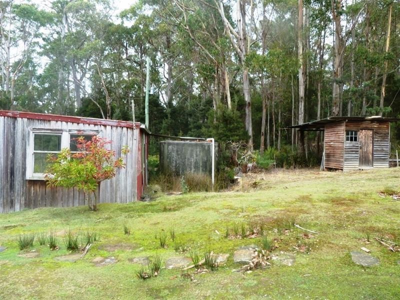 Reedy Marsh TAS 7304