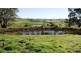 273 Cox’s Road, Deloraine TAS 7304