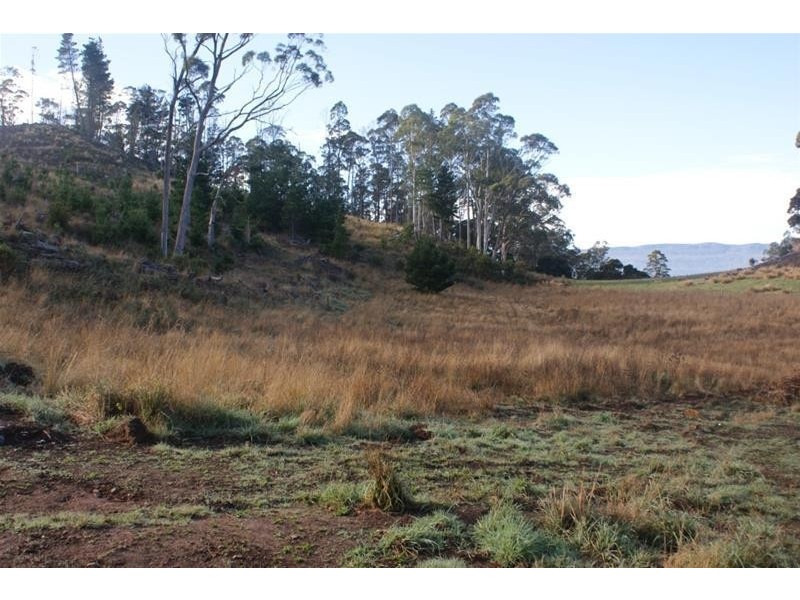 0 Caveside Road, Mole Creek TAS 7304