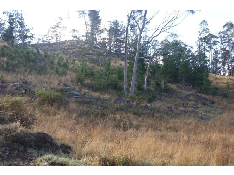 0 Caveside Road, Mole Creek TAS 7304