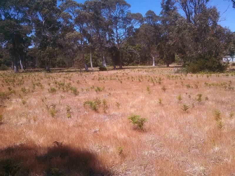 Lot 3 Marana Drive, Bakers Beach TAS 7307