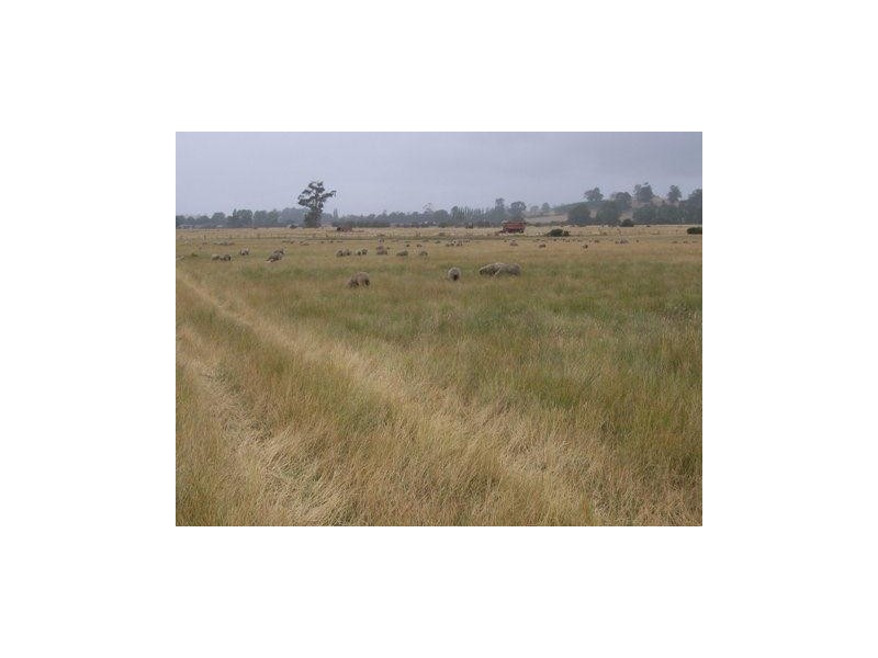 44  Grigg Street, Deloraine TAS 7304