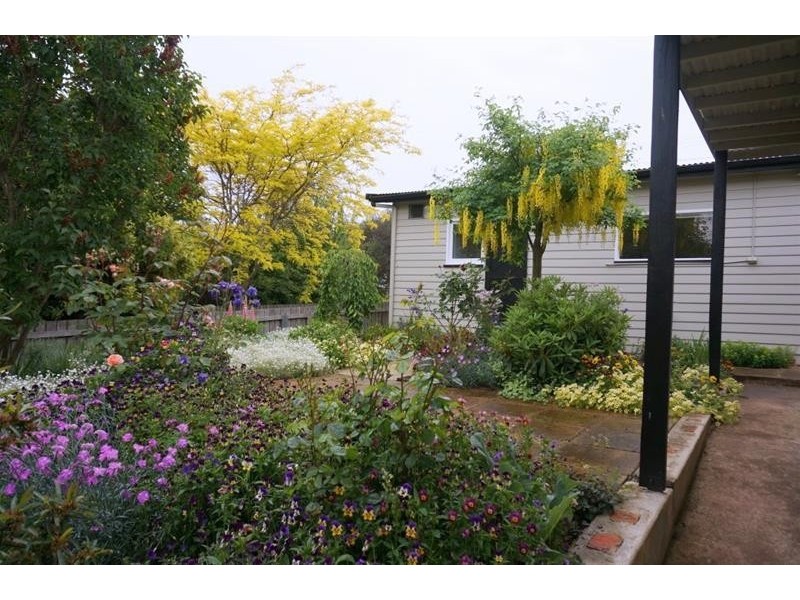 12 Beefeater Street, Deloraine TAS 7304