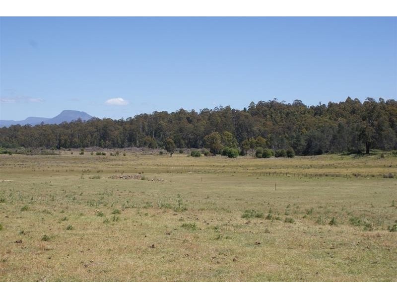 465 River Road, Reedy Marsh TAS 7304