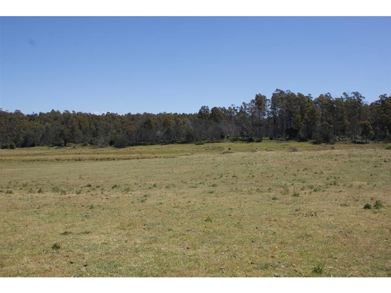 465 River Road, Reedy Marsh TAS 7304