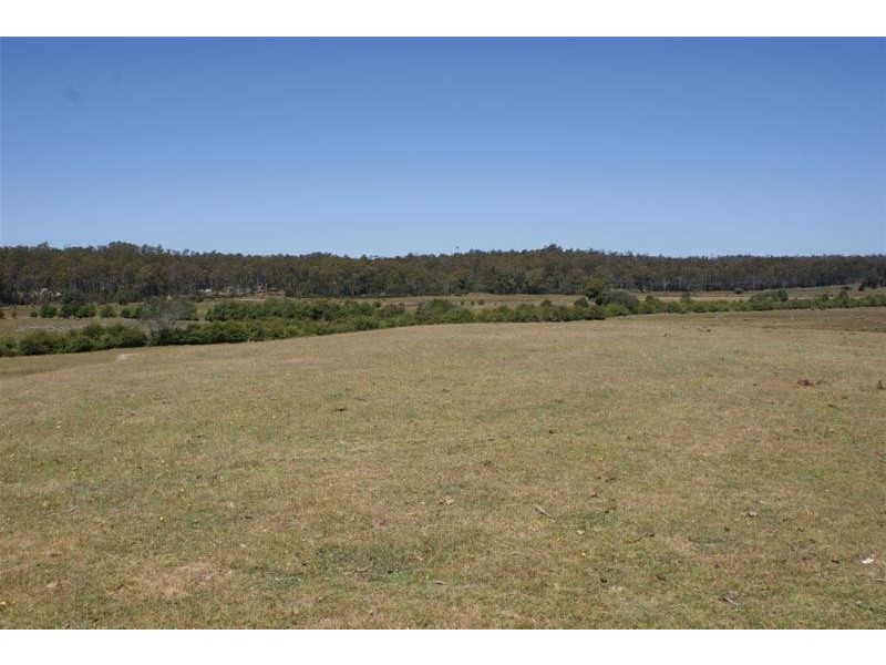 465 River Road, Reedy Marsh TAS 7304