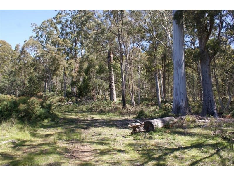 465 River Road, Reedy Marsh TAS 7304