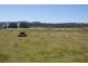 465 River Road, Reedy Marsh TAS 7304