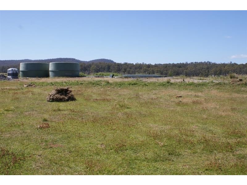 465 River Road, Reedy Marsh TAS 7304