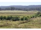 465 River Road, Reedy Marsh TAS 7304