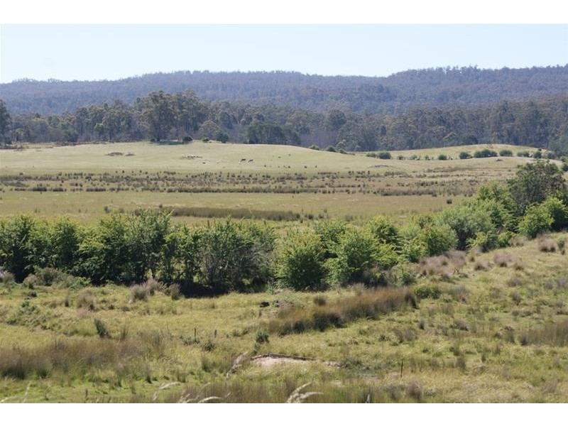 465 River Road, Reedy Marsh TAS 7304