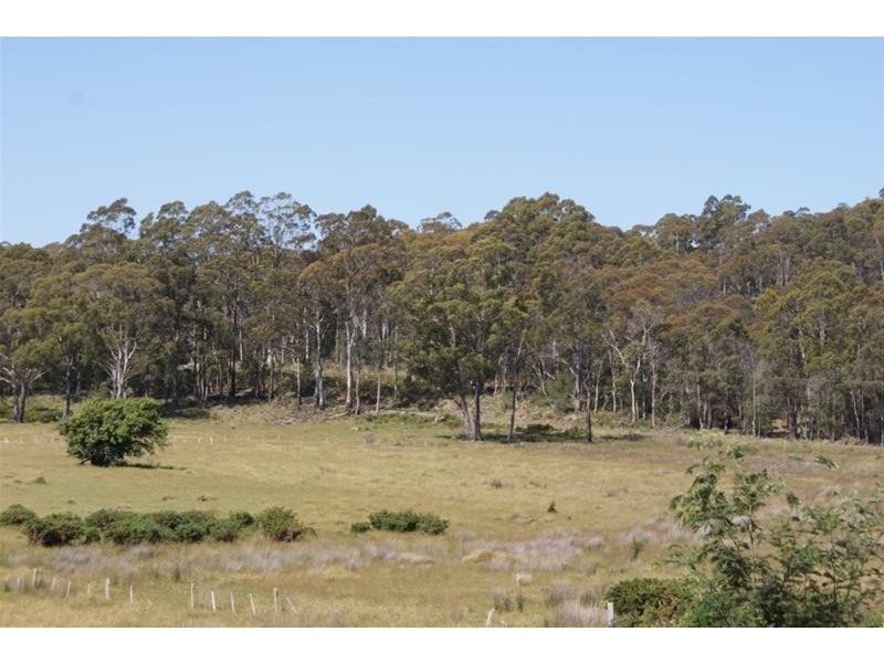 465 River Road, Reedy Marsh TAS 7304