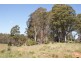 465 River Road, Reedy Marsh TAS 7304