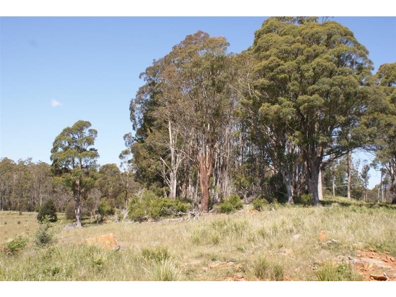 465 River Road, Reedy Marsh TAS 7304